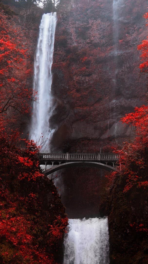 Aesthetic Wallpaper #4745