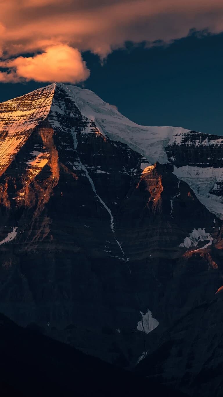 Aesthetic Wallpaper #342