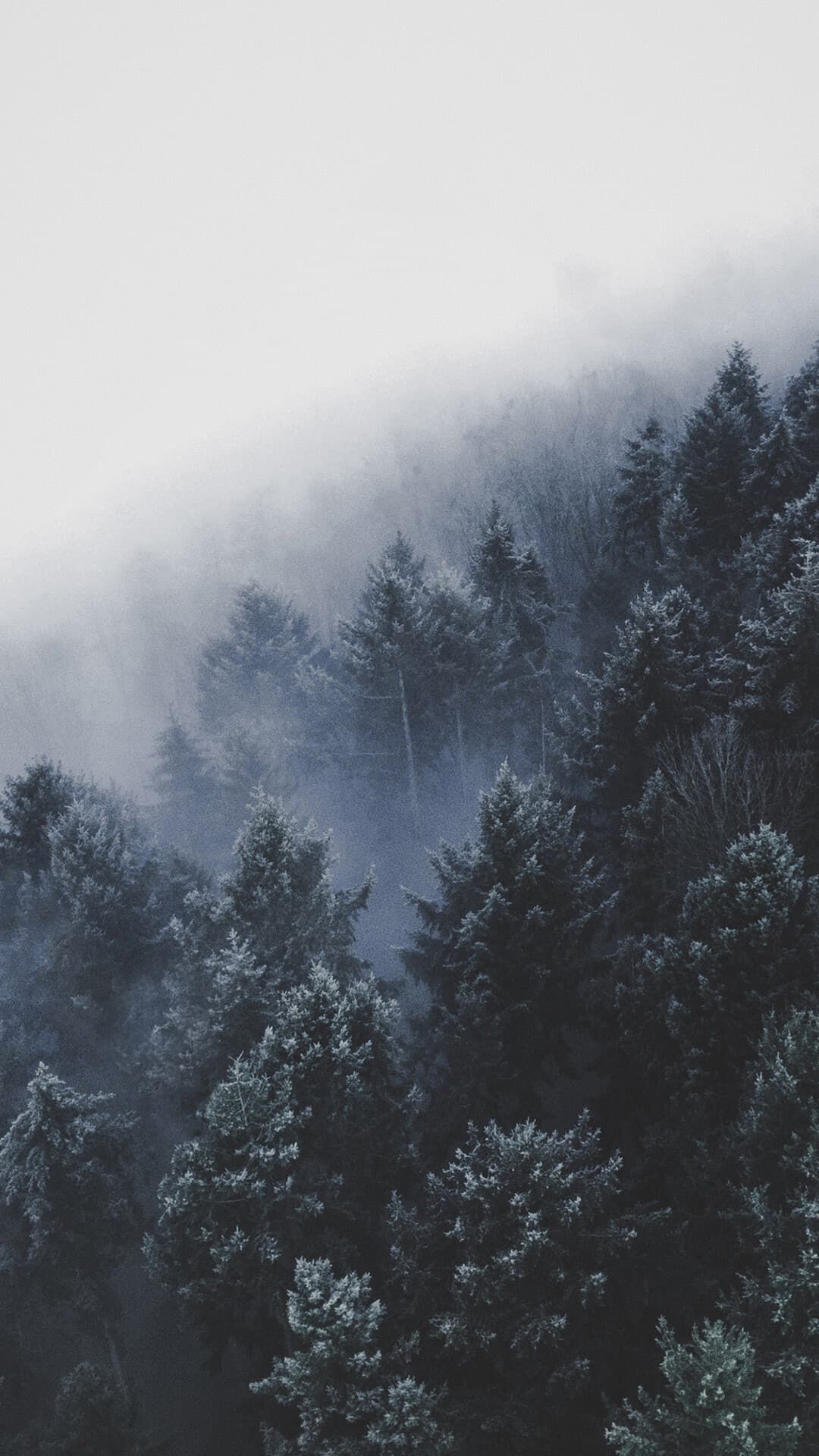 Aesthetic Wallpaper #151