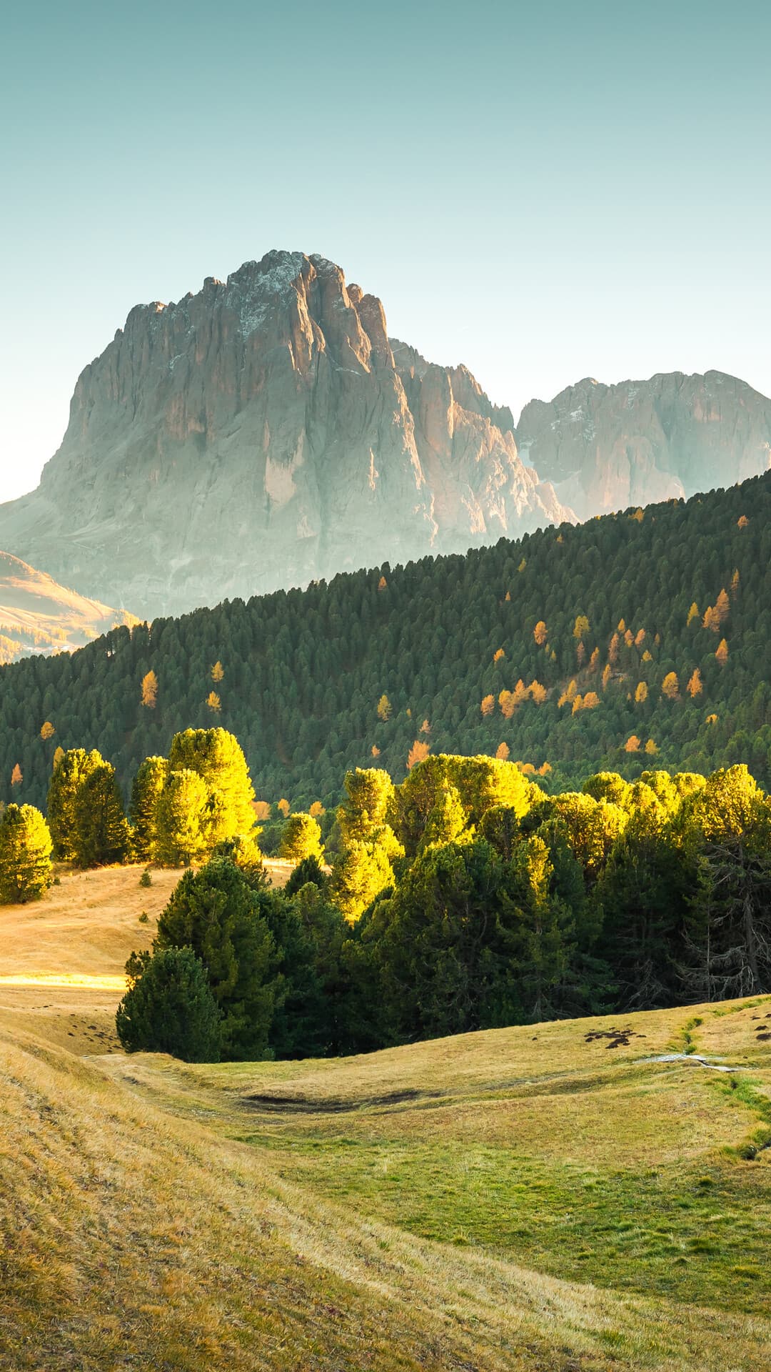 Aesthetic Wallpaper #2138