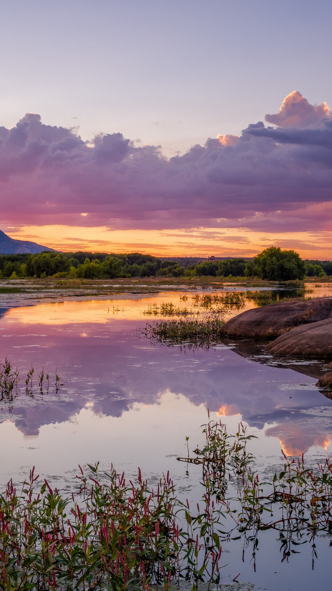 Aesthetic Wallpaper #4249