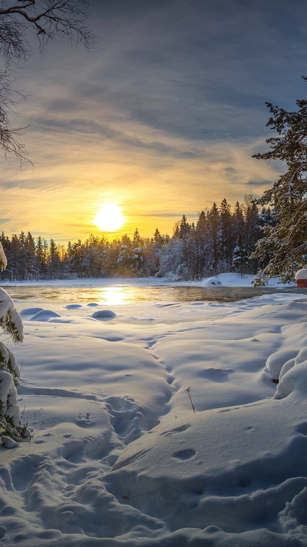 Aesthetic Wallpaper #1589