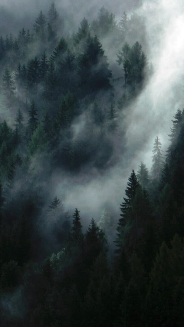 Aesthetic Wallpaper #5047