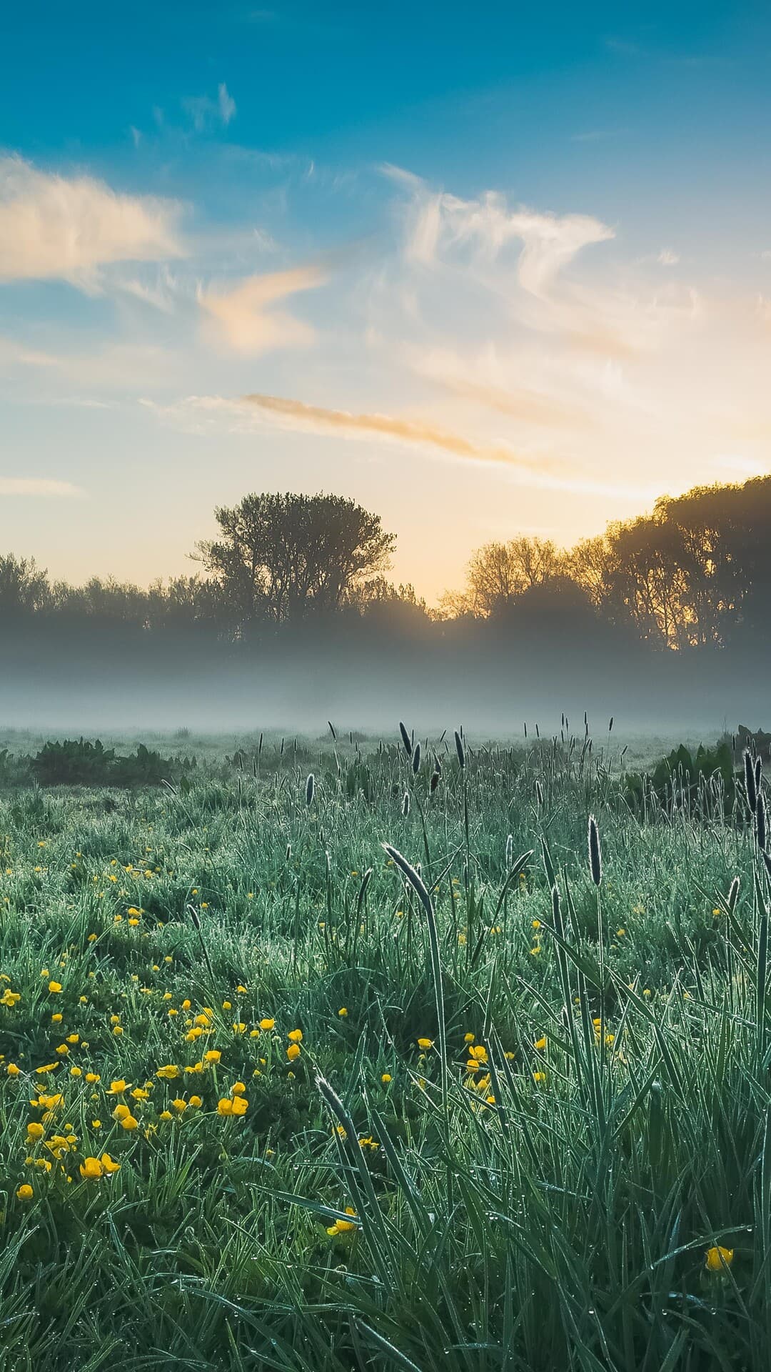 Aesthetic Wallpaper #3130