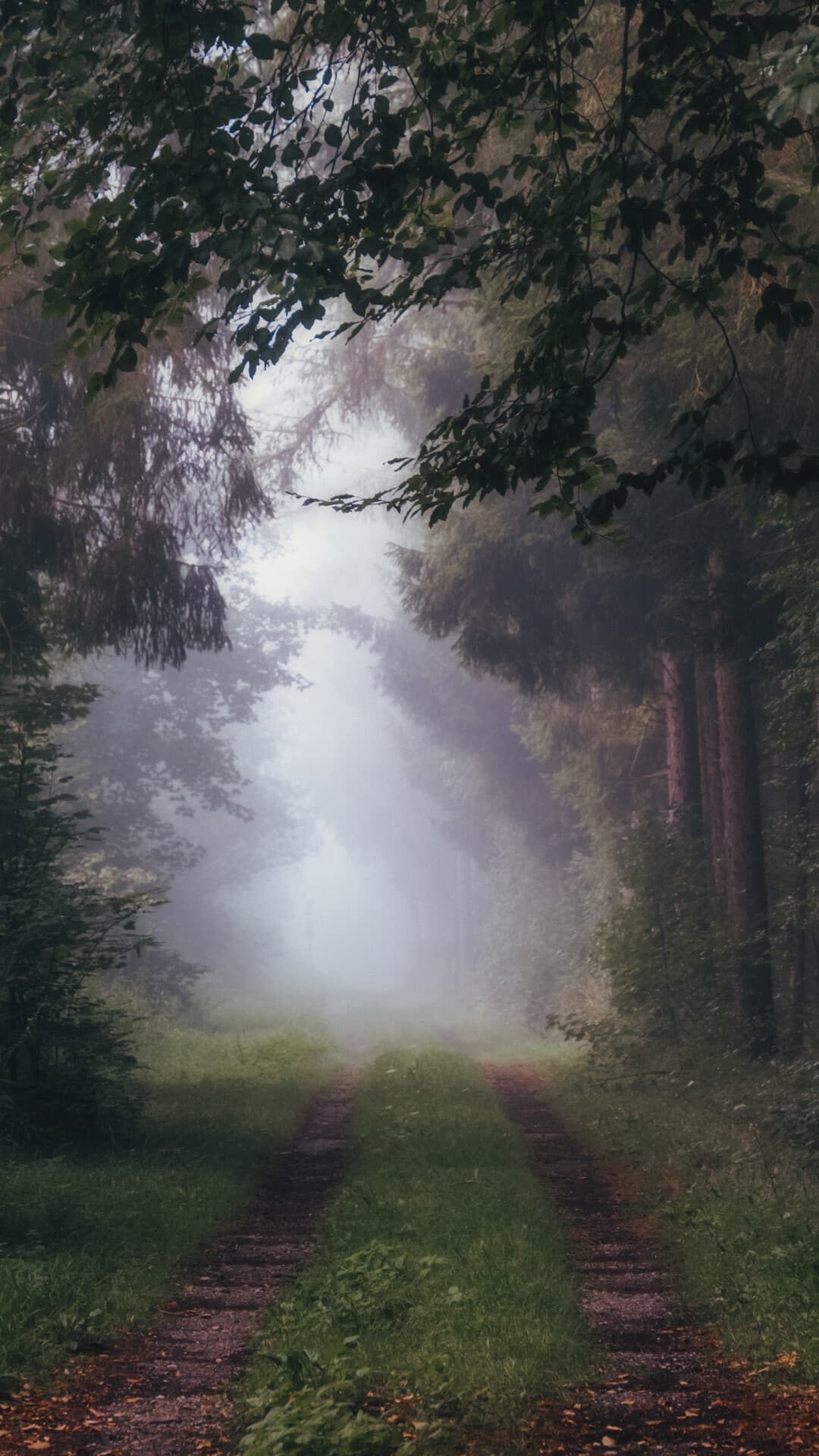 Aesthetic Wallpaper #2851