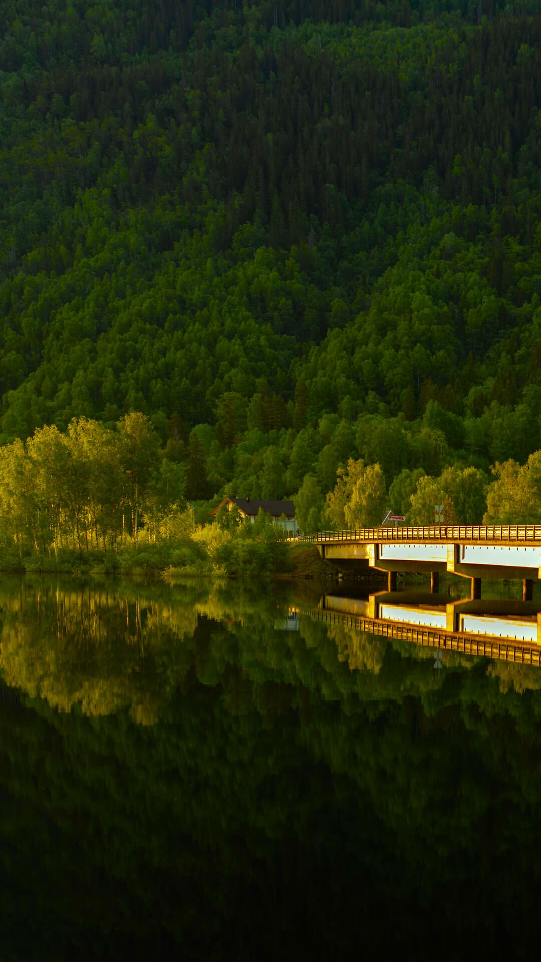 Aesthetic Wallpaper #4650