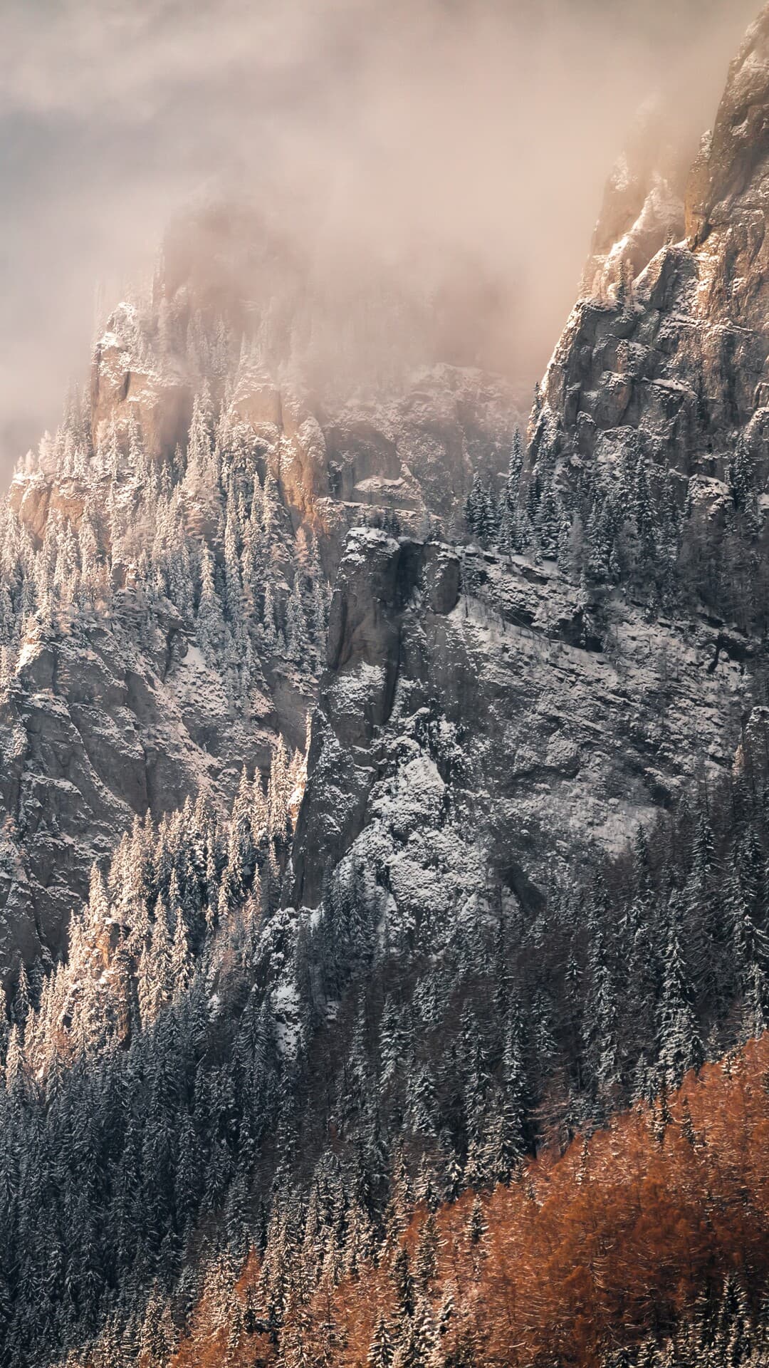 Aesthetic Wallpaper #1775