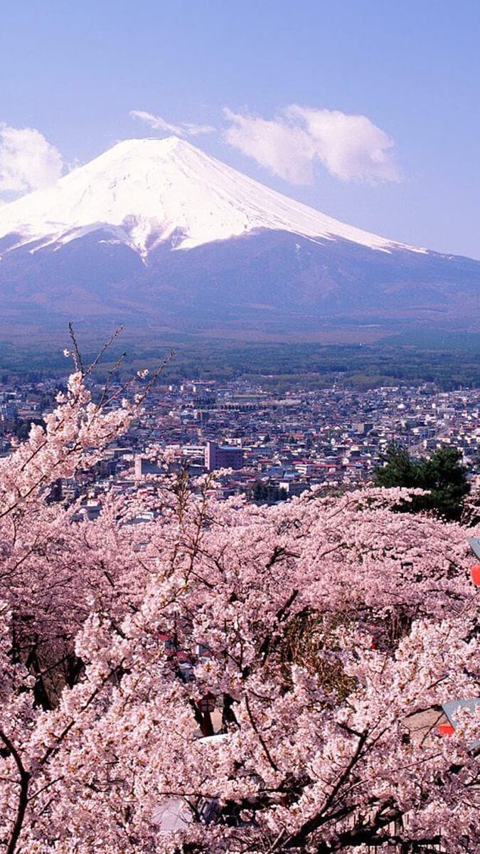 Aesthetic Wallpaper #3147