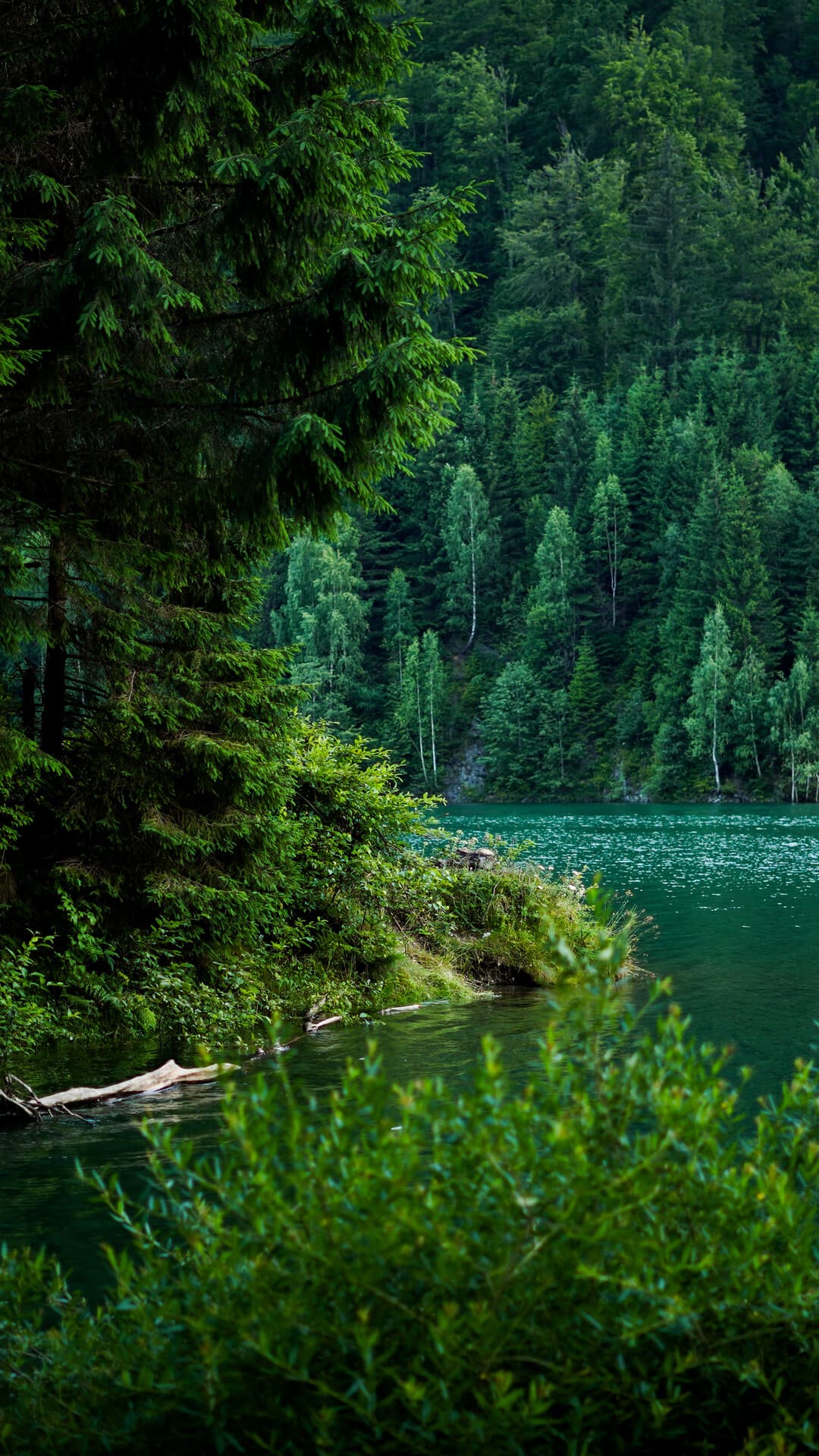 Aesthetic Wallpaper #1306