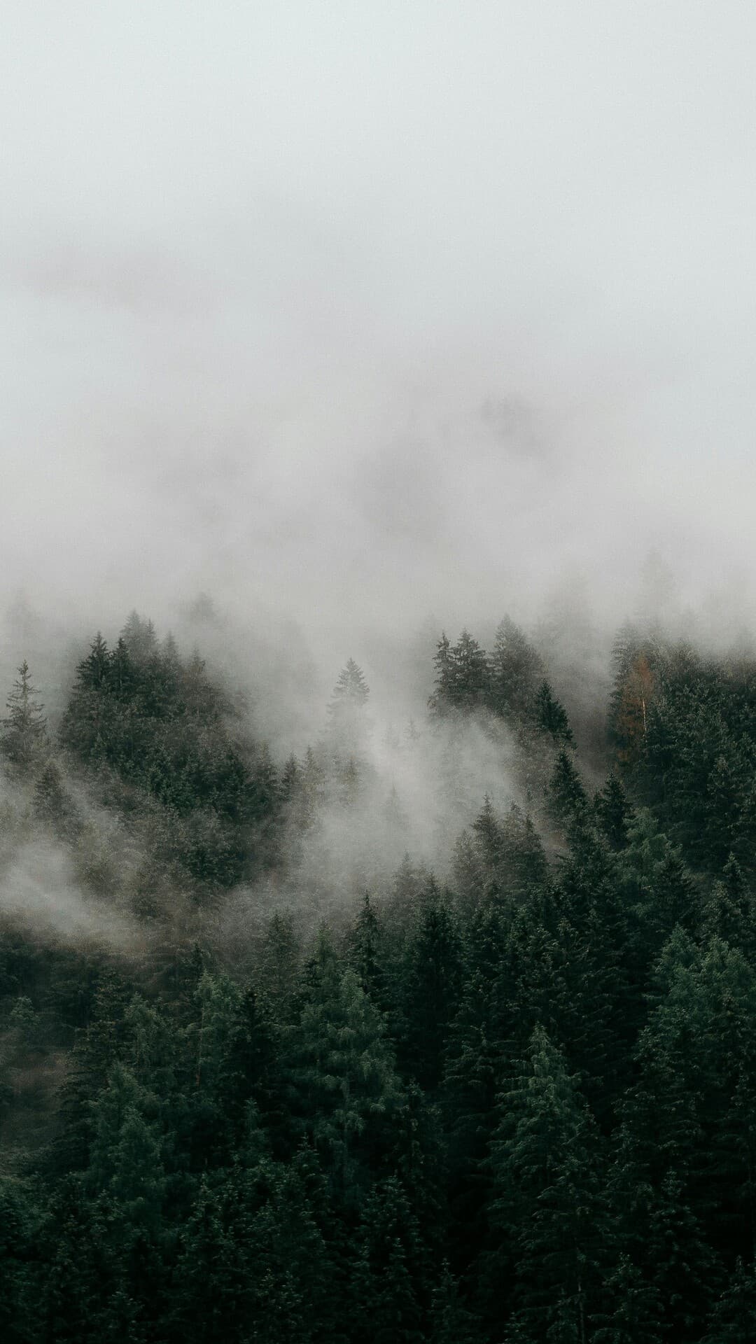 Aesthetic Wallpaper #3608