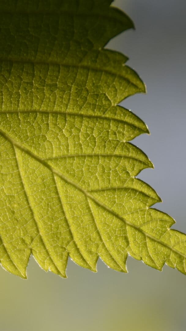 Aesthetic Wallpaper #4146