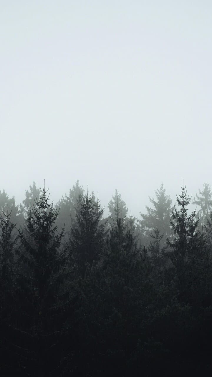 Aesthetic Wallpaper #1963