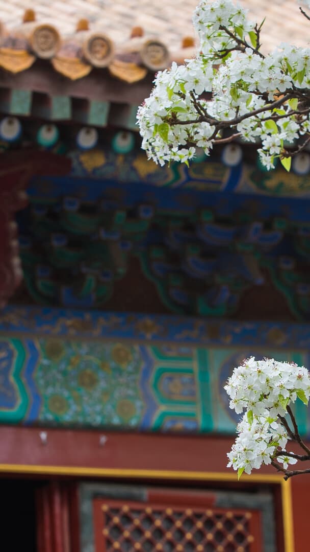 Aesthetic Wallpaper #3348