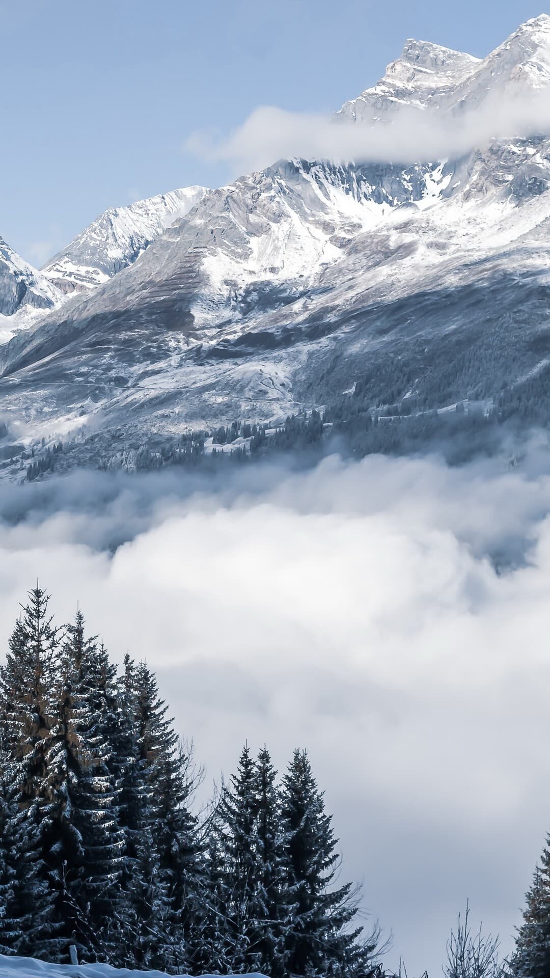 Aesthetic Wallpaper #110