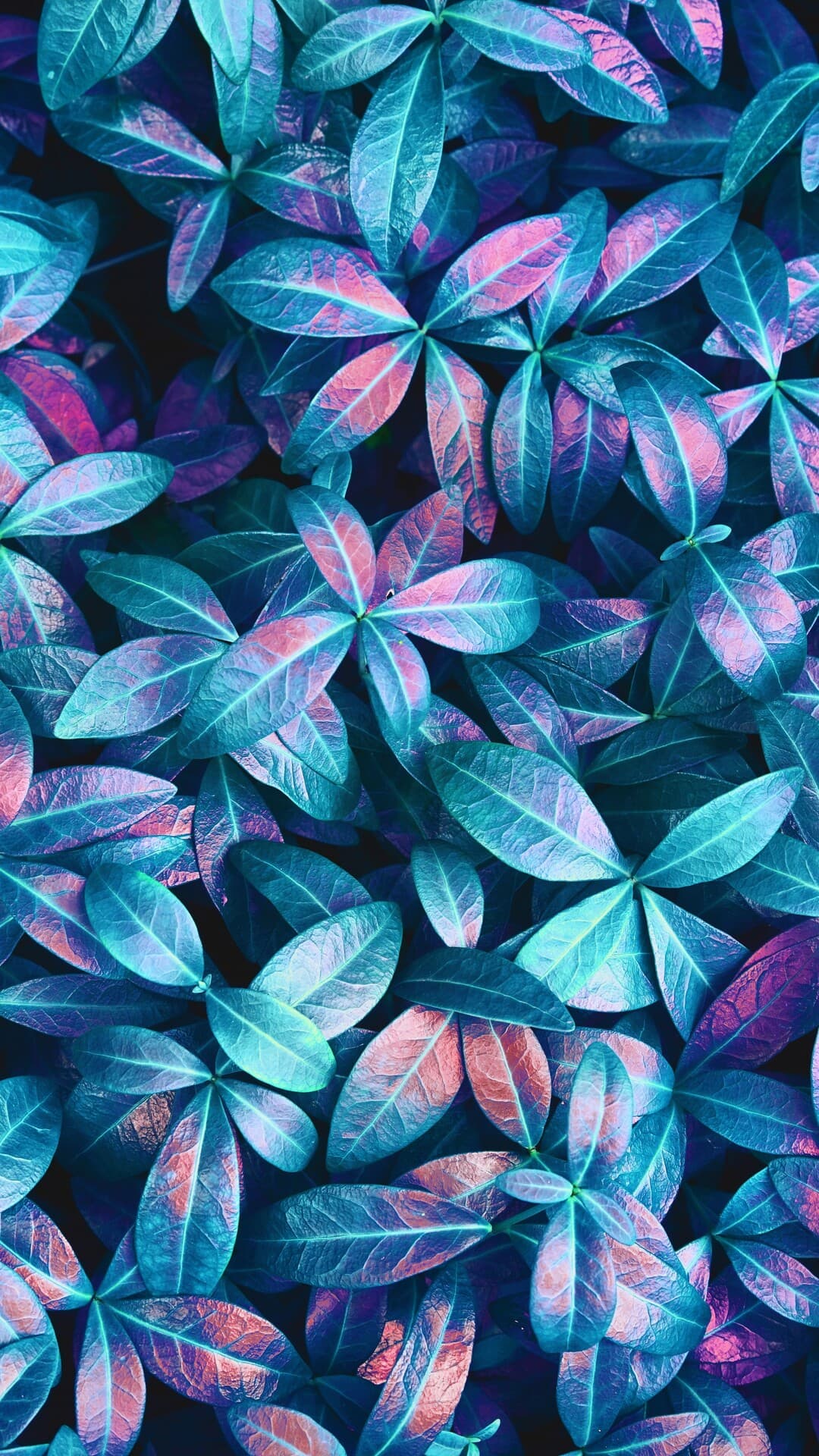 Aesthetic Wallpaper #1832