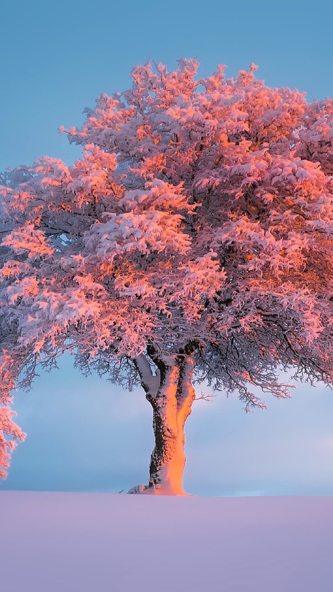 Aesthetic Wallpaper #2369