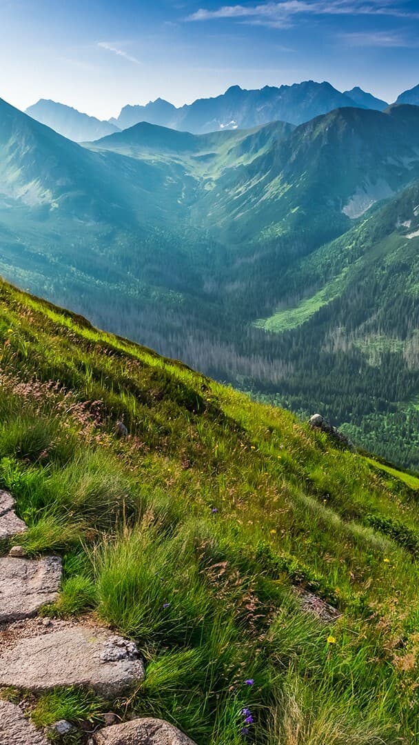 Aesthetic Wallpaper #5264