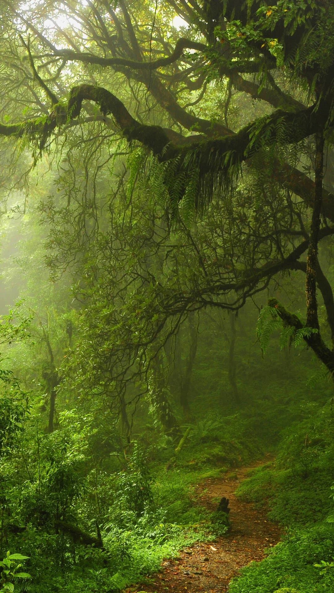 Aesthetic Wallpaper #1793