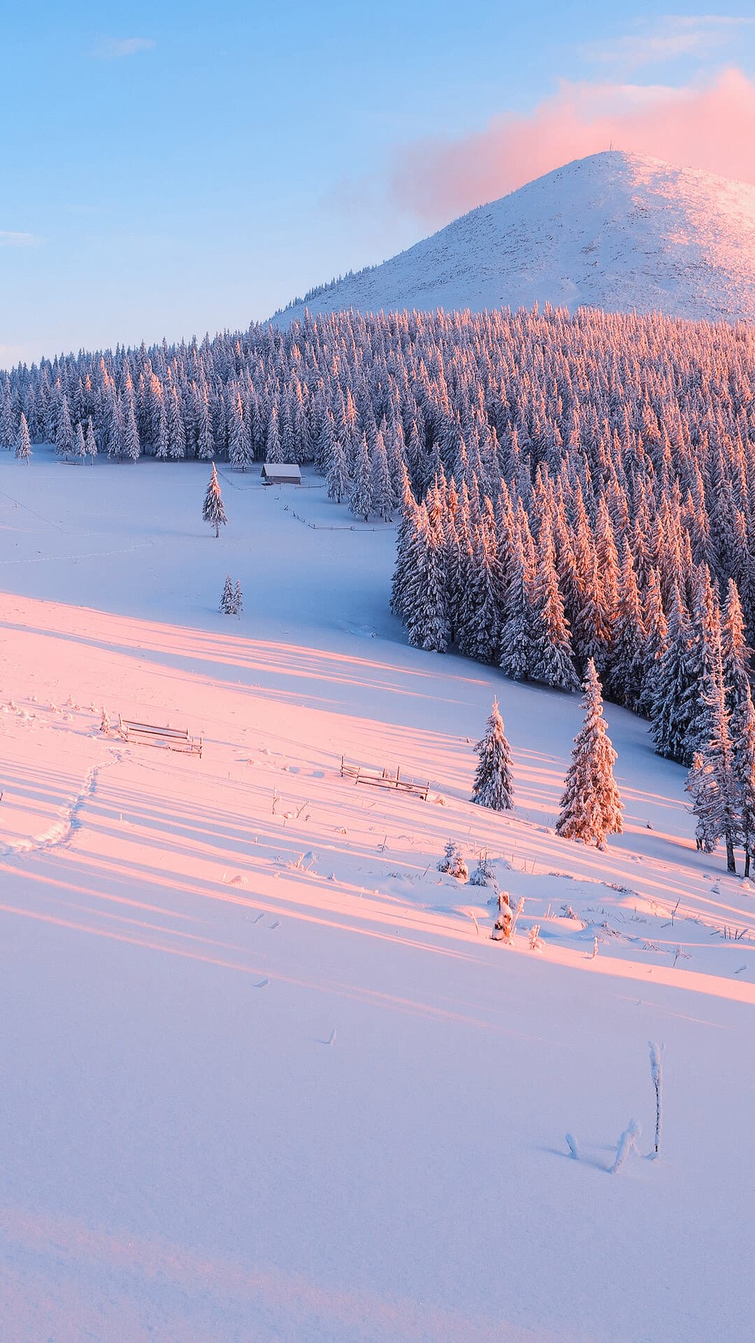 Aesthetic Wallpaper #2345