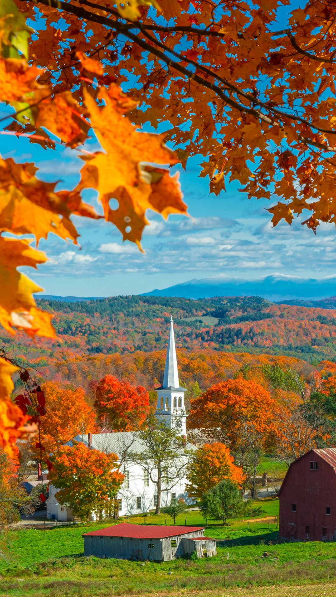 Aesthetic Wallpaper #2957