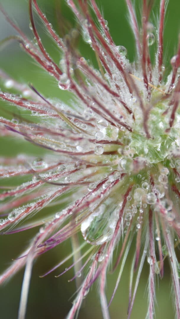 Aesthetic Wallpaper #367