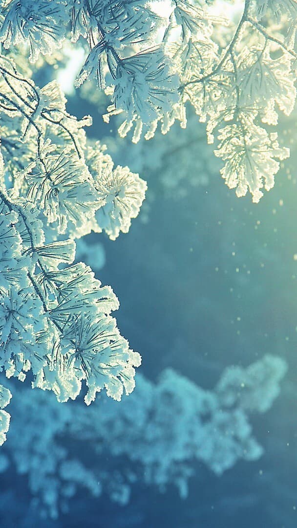 Aesthetic Wallpaper #2919