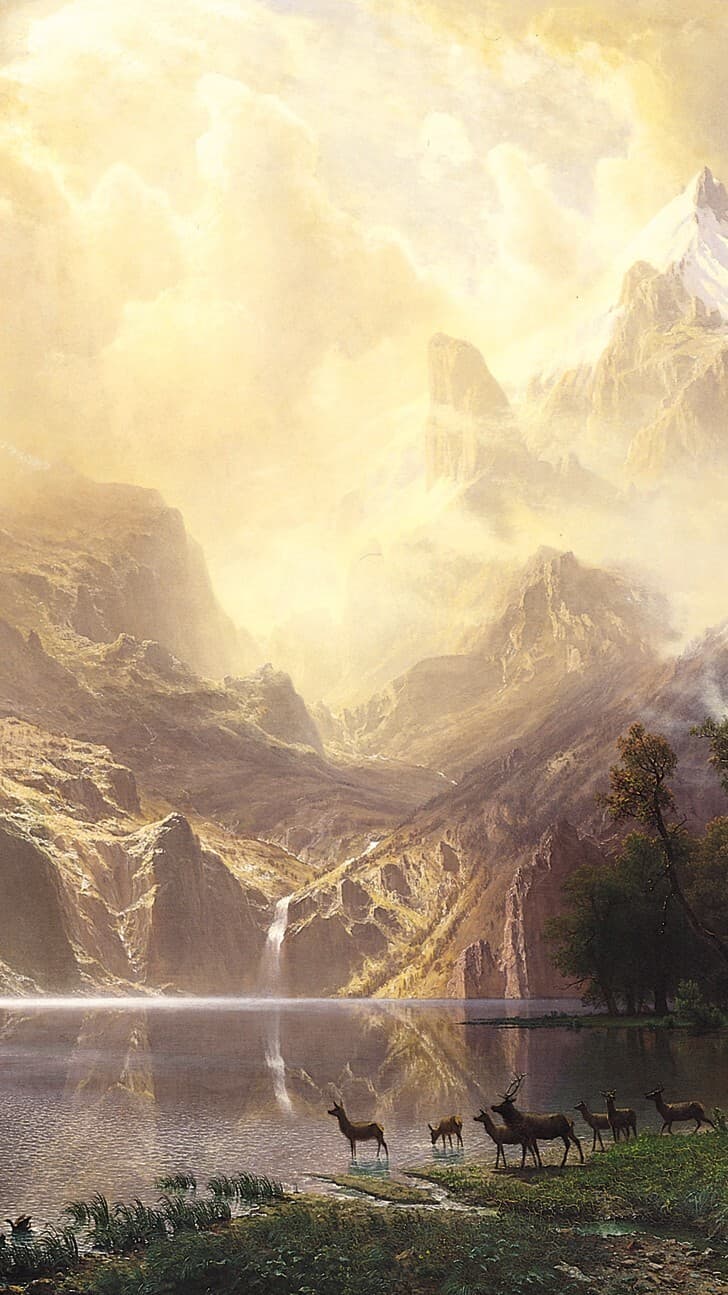 Aesthetic Wallpaper #1962