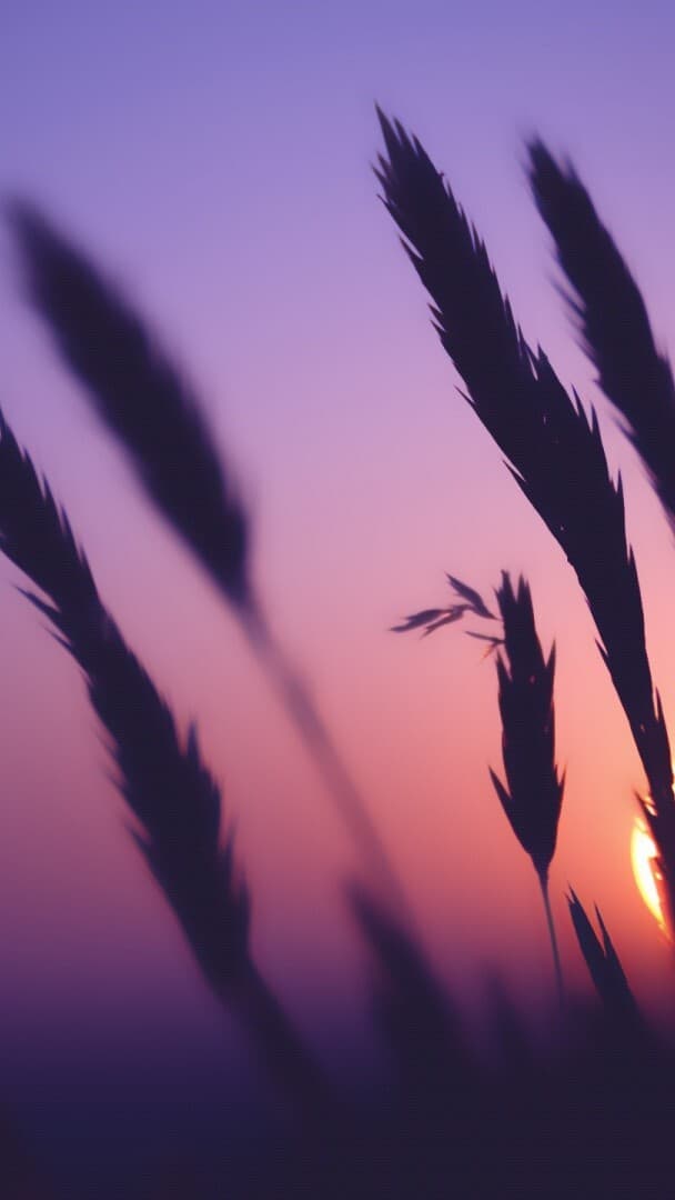 Aesthetic Wallpaper #5437