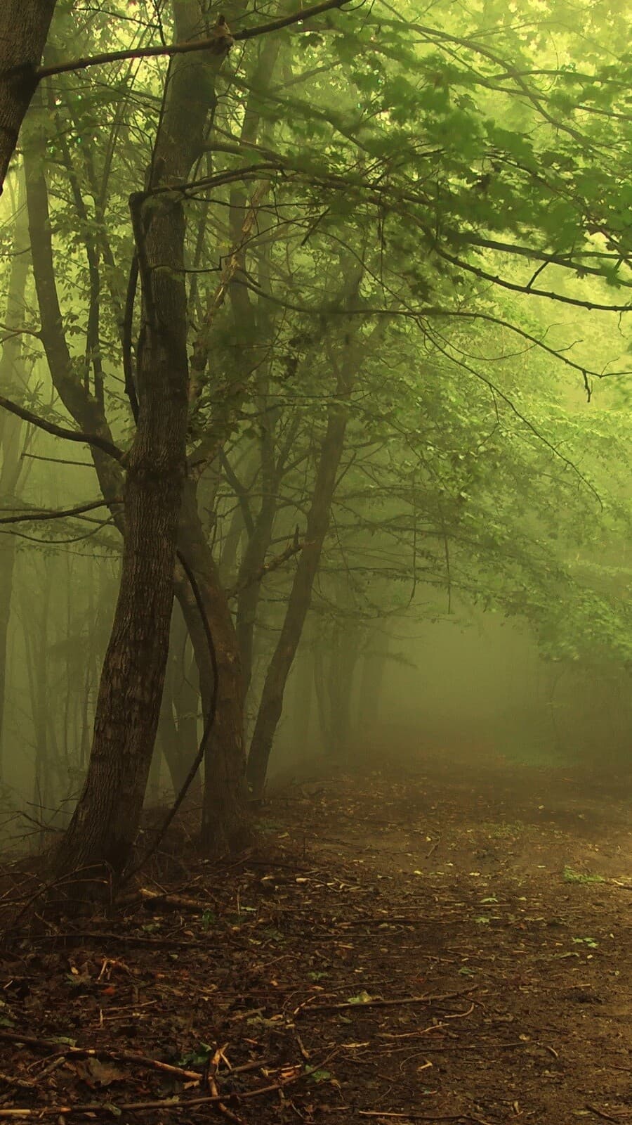 Aesthetic Wallpaper #4418