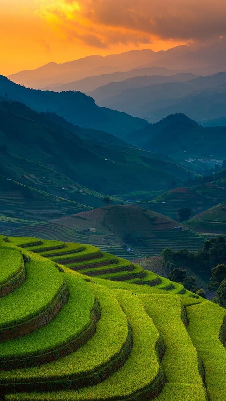 Aesthetic Wallpaper #4295