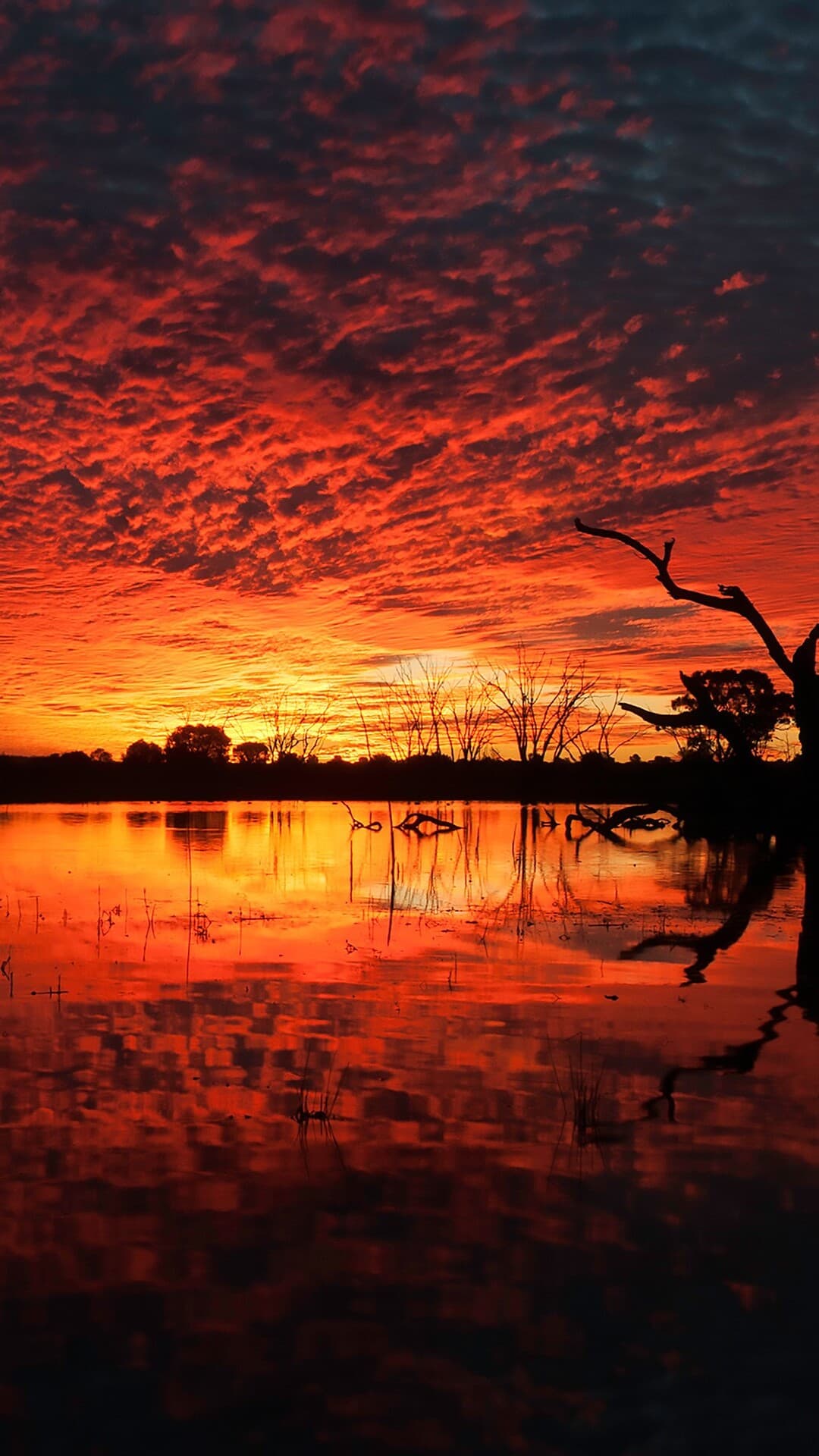 Aesthetic Wallpaper #552