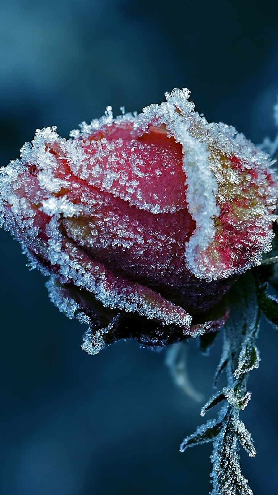 Aesthetic Wallpaper #4731