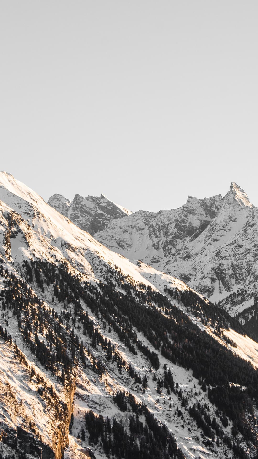 Aesthetic Wallpaper #1995