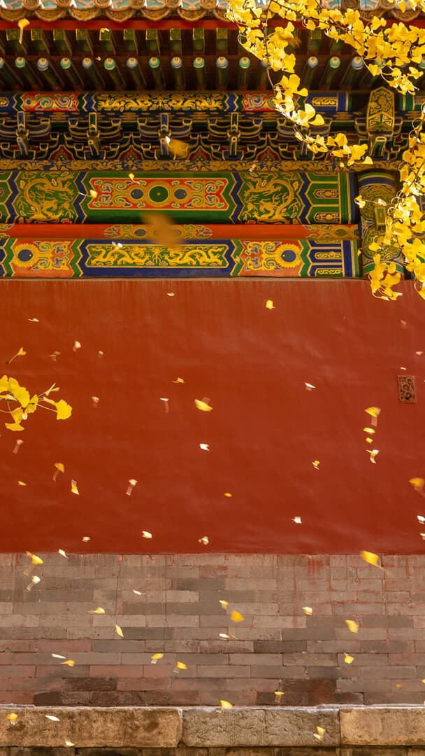 Aesthetic Wallpaper #2210