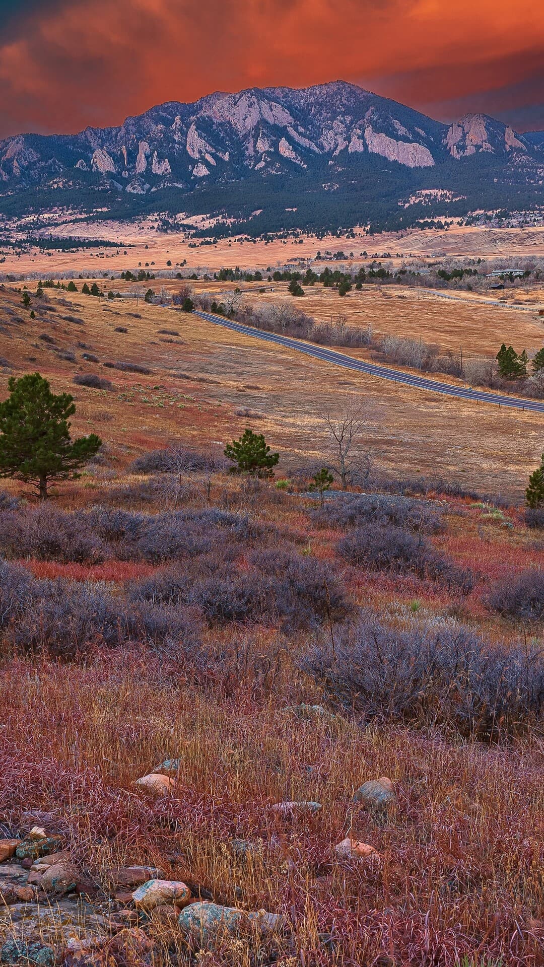 Aesthetic Wallpaper #5232