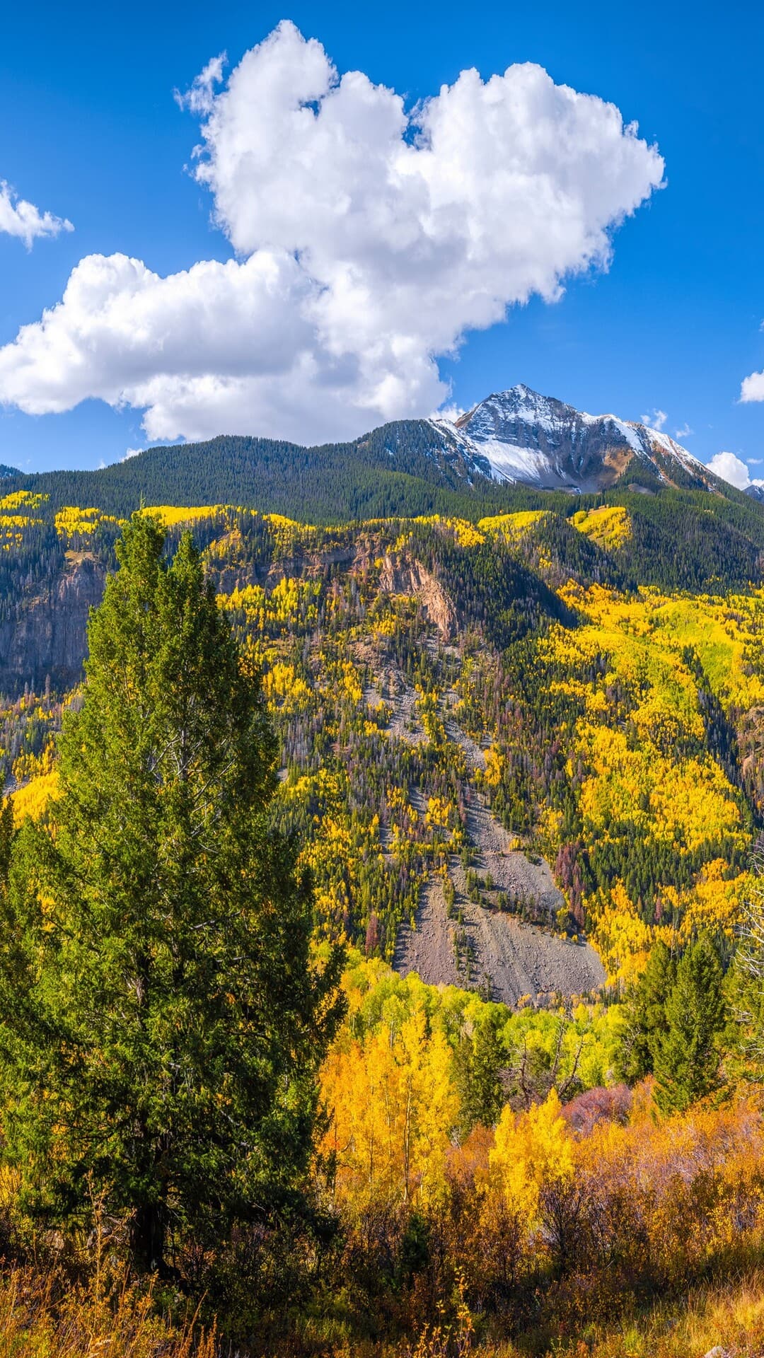 Aesthetic Wallpaper #2271