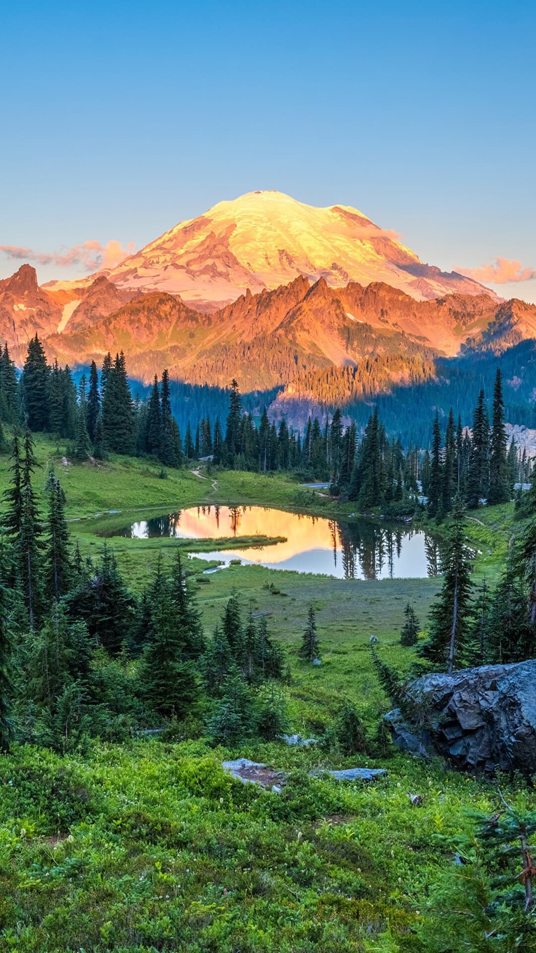 Aesthetic Wallpaper #1924