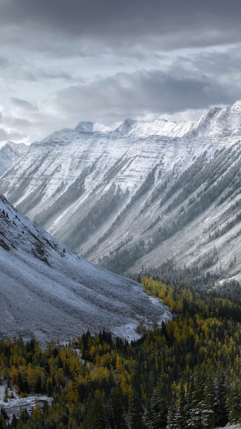 Aesthetic Wallpaper #199