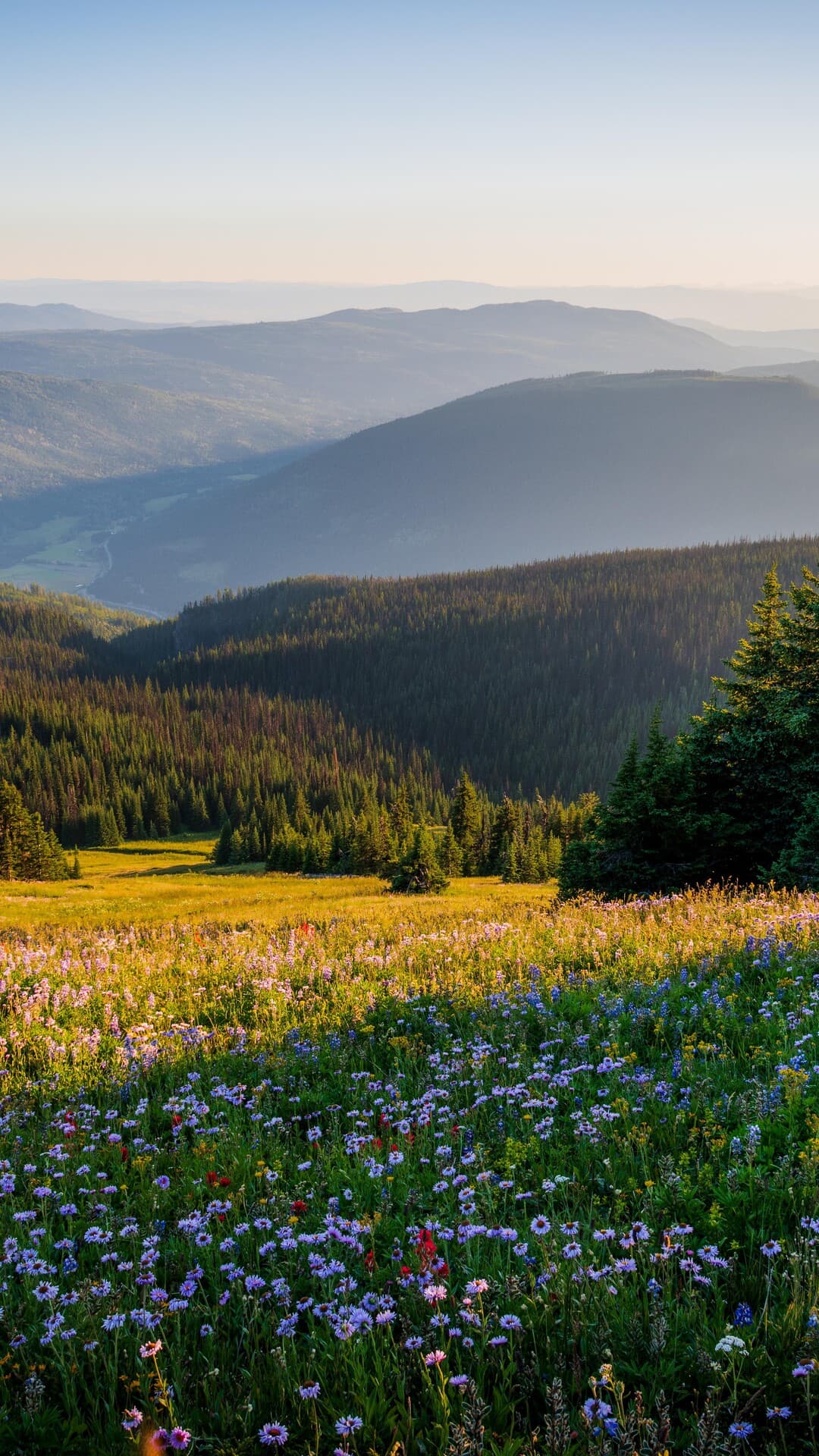 Aesthetic Wallpaper #4147