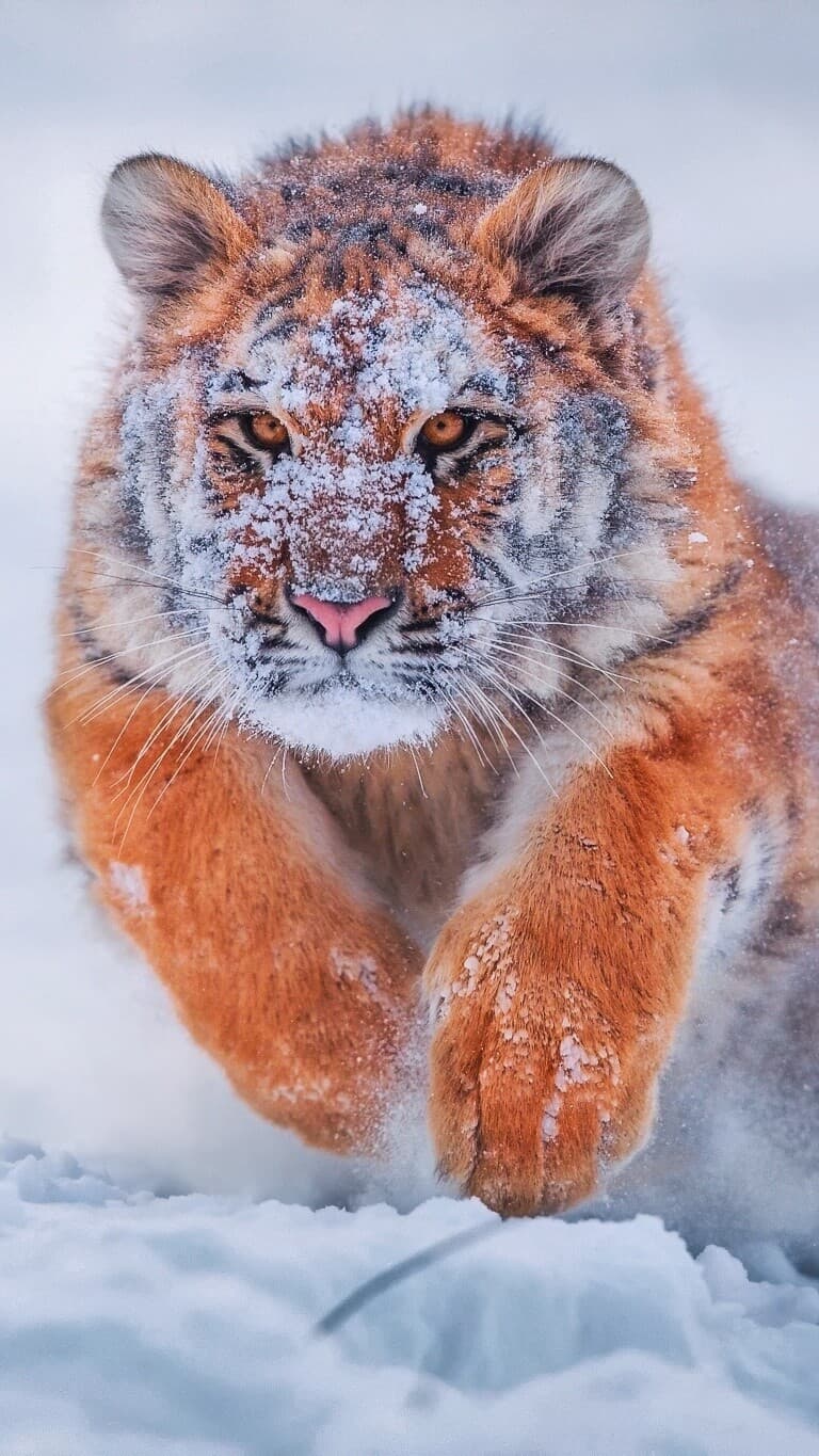 Aesthetic Wallpaper #1432