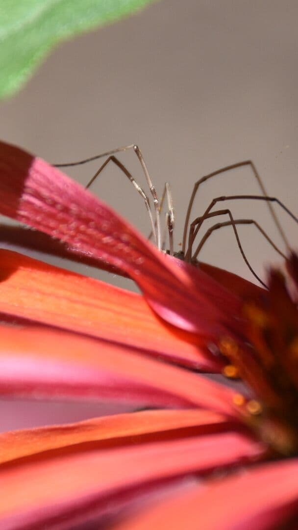 Aesthetic Wallpaper #3239