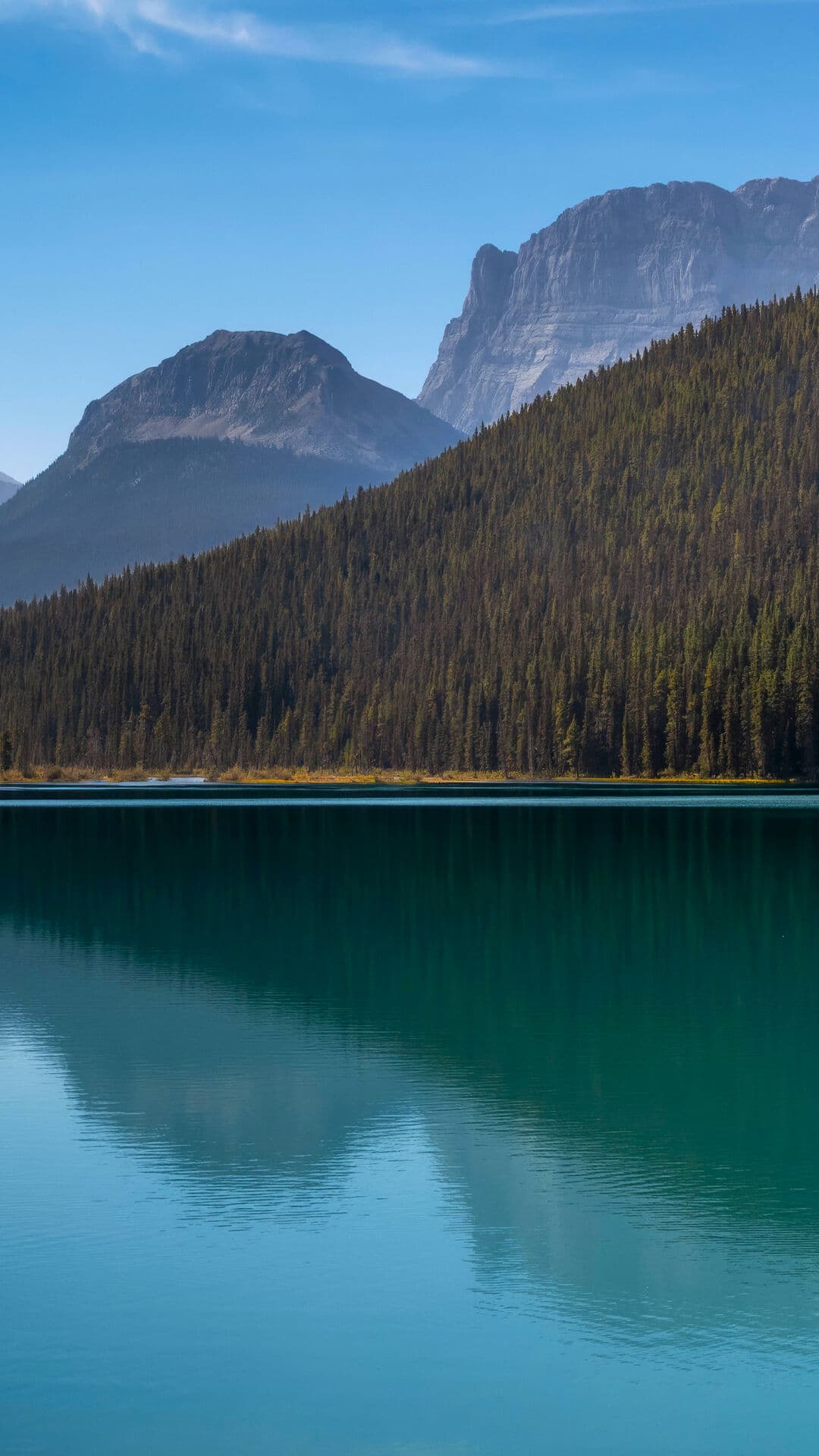 Aesthetic Wallpaper #2195