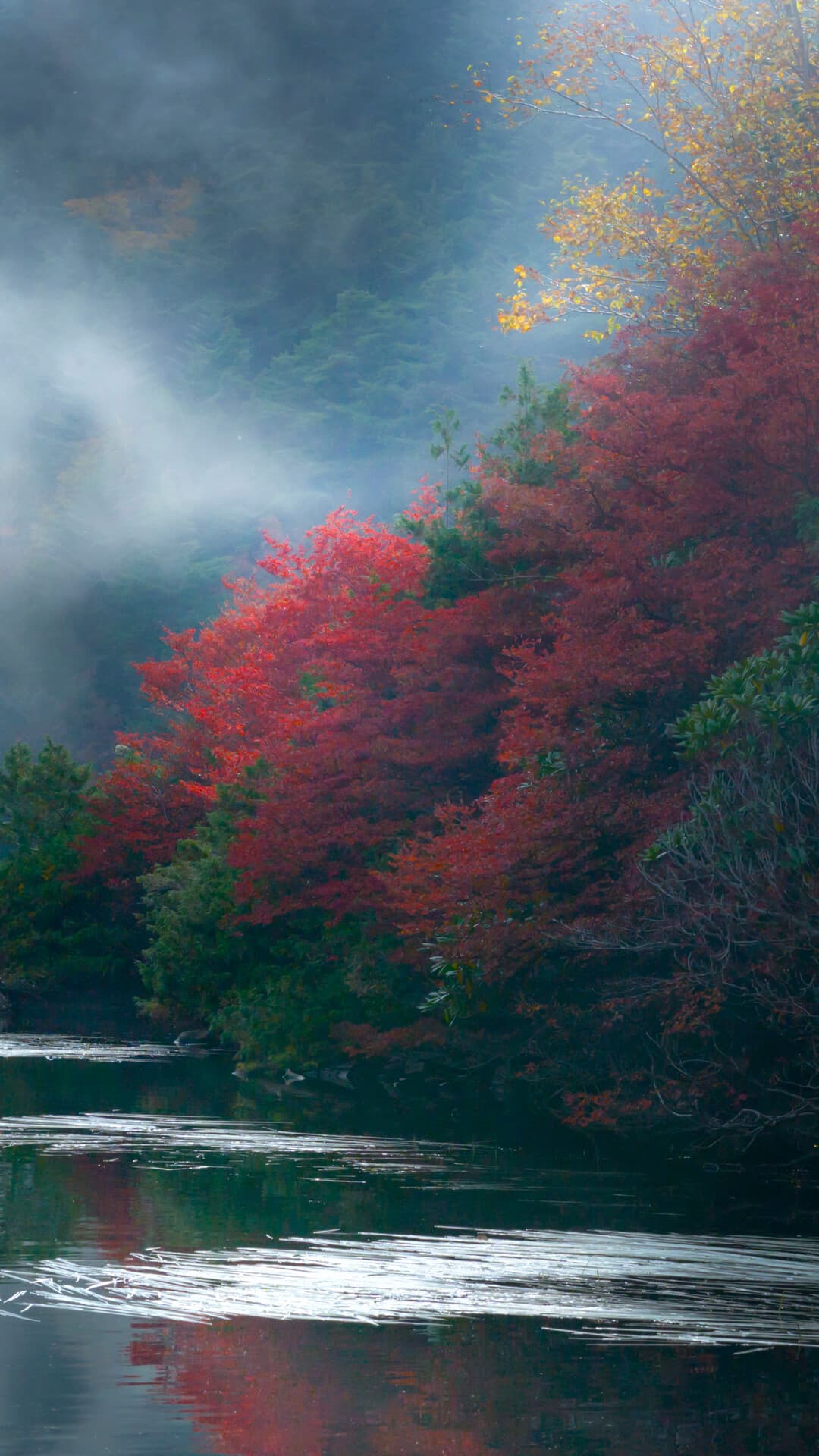 Aesthetic Wallpaper #1414