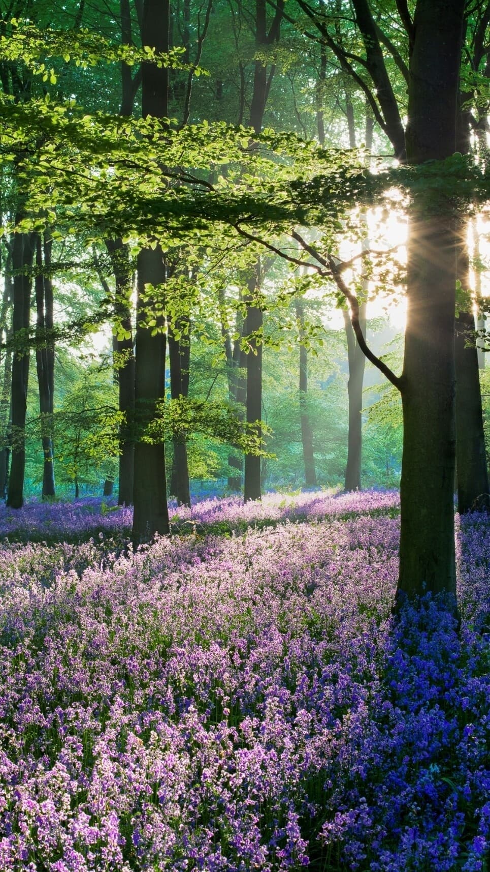 Aesthetic Wallpaper #2908