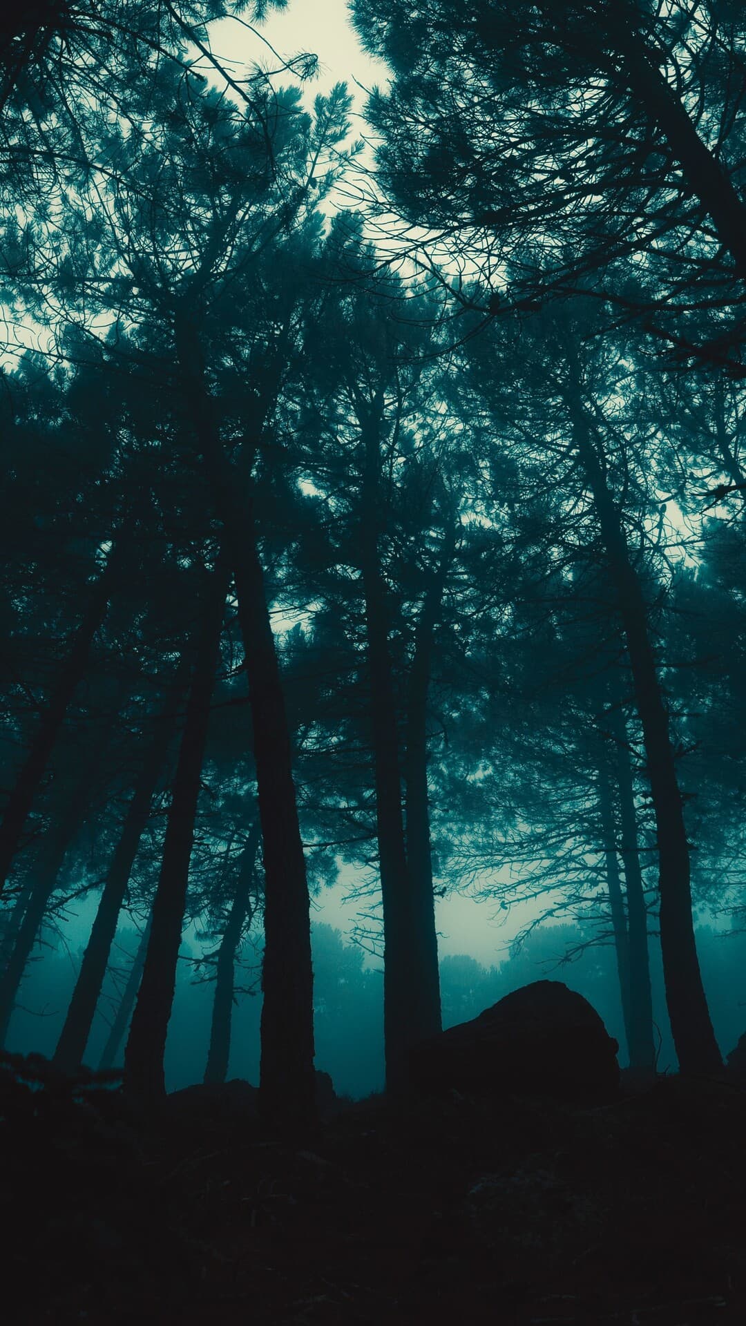 Aesthetic Wallpaper #2835