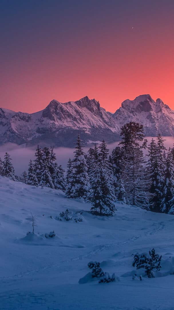 Aesthetic Wallpaper #2725