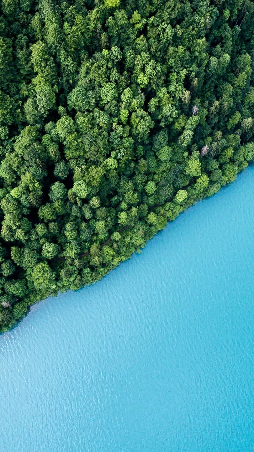 Aesthetic Wallpaper #652