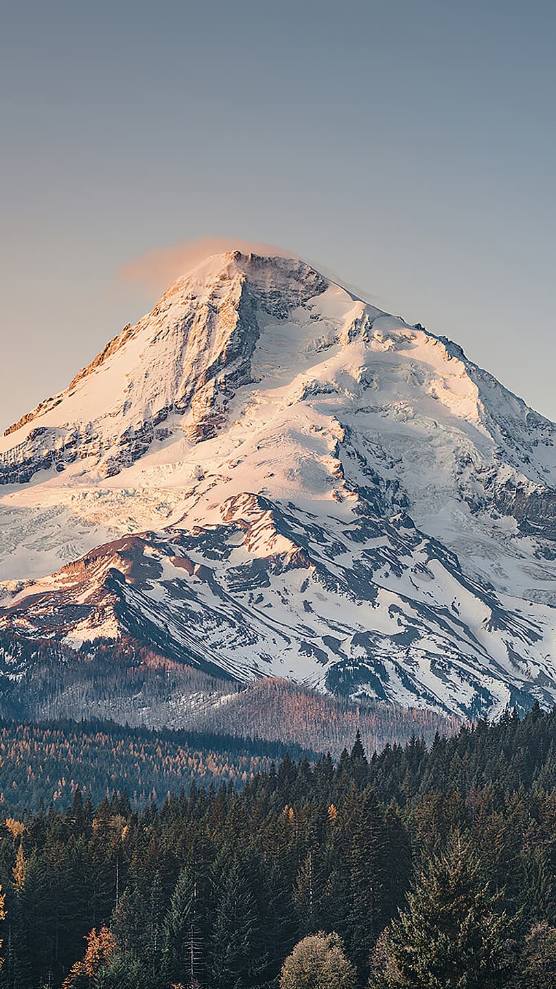 Aesthetic Wallpaper #1182