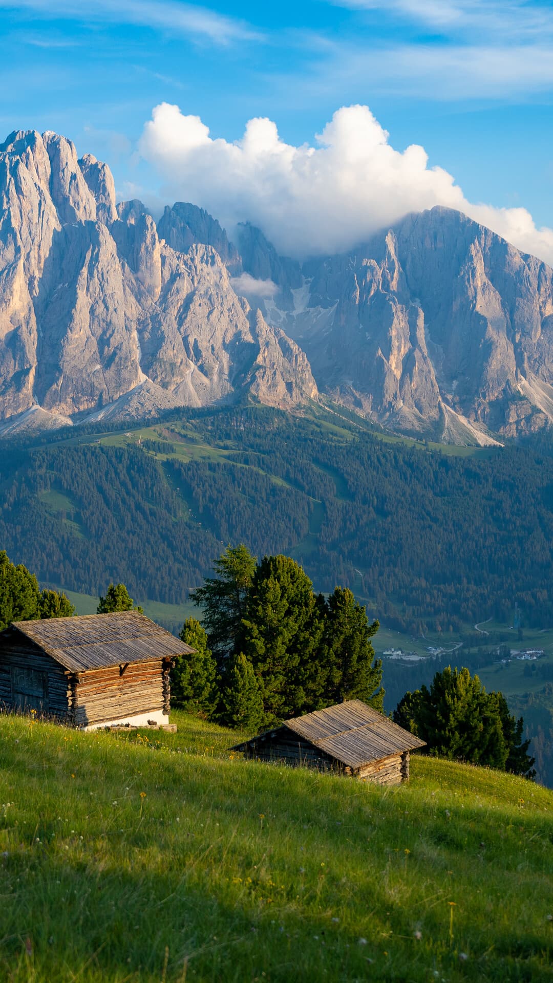 Aesthetic Wallpaper #2102