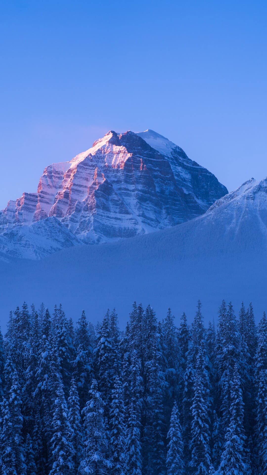 Aesthetic Wallpaper #497